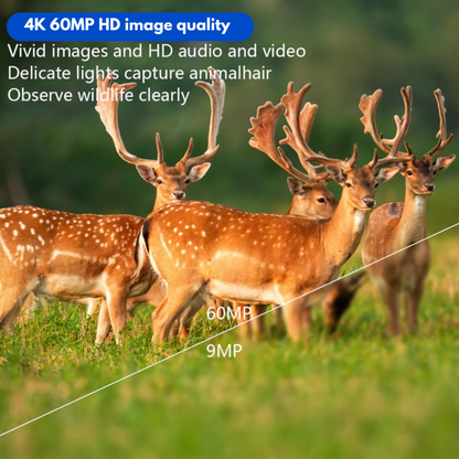Wildlife Camera – 4K Ultra HD 60MP – With App